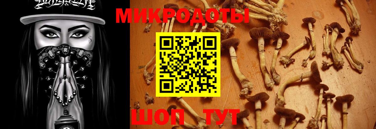 Зеленодольск  Псилоцибиновые грибы Cubensis  Вход с VPN  Галлюциногенные грибы мицелий 